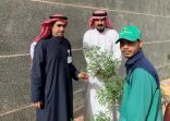 ضمن مبادرة البرنامج الوطني للتشجير.. مكتب بيئة حفر الباطن يوزع 500 شتلة