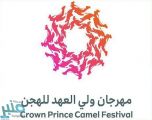 غدًا.. انطلاق المرحلة الثانية لمهرجان ولي العهد للهجن