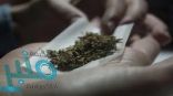 “مكافحة المخدرات” تعرّف بعلامات تعاطي الحشيش وتوضح أضراره
