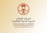 المركز الوطني لتنمية الحياة الفطرية يقف على حادثة هجوم قرود بابون على مواطن في الباحة