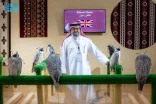 المزرعة الإنجليزية “فالكون ميوز” تُشارك بـ 100 صقر في المزاد الدولي لمزارع إنتاج الصقور 2025