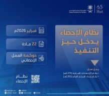 الهيئة العامة للإحصاء تعلن عن البدء بتنفيذ نظام الإحصاء