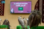 “مزرعة سعودية” تشارك بـ111 صقرًا في المزاد الدولي لمزارع إنتاج الصقور 2025