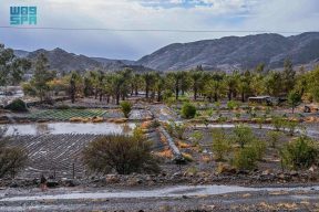 أمطار تُنعش أجواء الباحة وتُعزز جاذبية المواقع السياحية في العيد