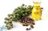 “زيت الخروع”.. فوائد مدهشة وأعراض خطيرة