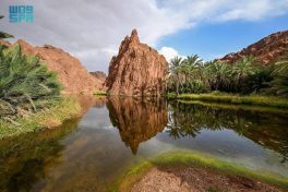 منطقة حائل تسجّل نموًا سياحيًا يعزّز مكانتها بصفتها وجهة بارزة لعام 2025م