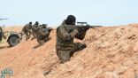 الجيش التونسي يقتل عددًا من العناصر الإرهابية بمرتفعات المغيلة