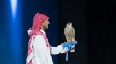 بَيع صقرين بـ 173 ألفاً في الليلة الـ 19 لمزاد نادي الصقور السعودي