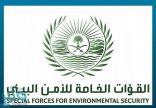 “الأمن البيئي” يضبط 90 طناً من الحطب المحلي المعد للبيع في الرياض