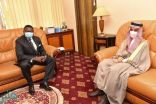 وزير الخارجية يلتقي أمين عام ديوان الرئاسة الكاميرونية