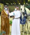 وكيل محافظة جدة يتوج الفائزين ببطولة مكة المكرمة الـ 11 لجمال الجواد العربي