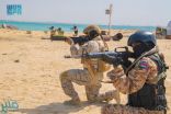 استمرار مناورات تمرين “الفلك 4” بين القوات البحرية السعودية والسودانية