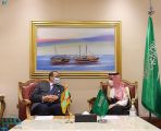 وزير الخارجية يلتقي نظيره الموريتاني