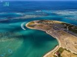 شركة البحر الأحمر تعلن اكتشاف مستعمرة مرجانية ضخمة في جزيرة ” الوقادي ” يعود عمرها لـ 600 عام