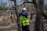 مركز الغطاء النباتي يطلق مشروع لإعادة تأهيل المواقع المتضررة في غابات متنزه الجرة بعسير