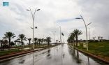 أمطارٌ على منطقة الباحة