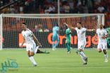 منتخب الجزائر يتوّج بطلاً لـ “كأس الأمم الأفريقية 2019”