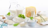 فوائد ومضار مشتقات الألبان