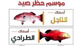 “البيئة ” تحظر صيد أسماك الناجل والطرادي على البحر الأحمر