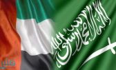 سبع لجان لتحقيق التكامل السعودي الإماراتي في المجالات الحيوية