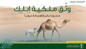 “البيئة”: ترقيم الإبل اختياري حتى بداية محرم المقبل