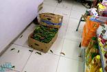 بلدية العتيبية بمكة تغلق منشآت غذائية مخالفة
