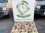 إحباط محاولة تهريب (50) كيلو جراماً من مادة الحشيش المخدر بجازان