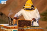 تنوع العُلا الطبيعي يعزّز إنتاج العسل عالي الجودة تزامنًا مع اليوم العالمي للنحل