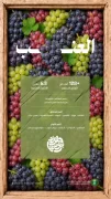 عناقيد العنب تغمر الأسواق بإنتاج وفير يتجاوز 128 ألف طن من أجود الأصناف المحلية