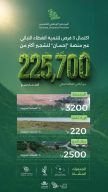 البرنامج الوطني للتشجير يعلن اكتمال 3 فرص تبرع عبر منصة “إحسان” لتشجير مساحات تتجاوز 225.7 ألف متر مربع