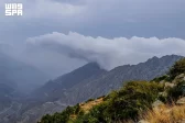 الضباب والأمطار ينعشان أجواء صيف الباحة ويجذبان الأهالي والزوار