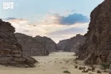 طبيعة العُلا.. مصدر إلهام متجدد للشعراء عبر القرون