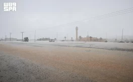 أمطار الصيف تنعش أجواء الباحة وتعزز الإقبال على المتنزهات