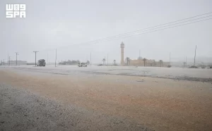 أمطار الصيف تنعش أجواء الباحة وتعزز الإقبال على المتنزهات