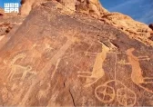 النقوش الأثرية في محمية الملك سلمان بن عبدالعزيز الملكية شاهد على تاريخ المكان وعراقته