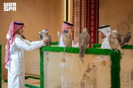 المزاد الدولي لمزارع إنتاج الصقور يعزز الاقتصاد المرتبط بمنظومة الصقارة