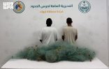 حرس الحدود بمنطقة تبوك يضبط مخالفين للائحة الأمن والسلامة لمزاولي الأنشطة البحرية