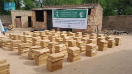 مركز الملك سلمان للإغاثة يوزع 1190 كرتون تمر في عدة مناطق بإقليم مايو كيبي الشرقي بتشاد