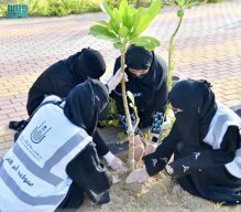 جامعة أم القرى تنفّذ مبادرة “اصنع أثرًا” لتعزيز الاستدامة البيئية وتعزيز جودة الحياة