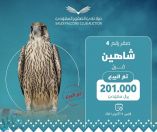 بيع أغلى صقر في النسخة الثانية لمزاد نادي الصقور السعودي