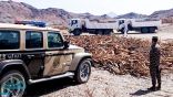 الأمن البيئي يضبط موقعًا مخالفًا لنظام البيئة استُخدِم لتخزين الحطب المحلي