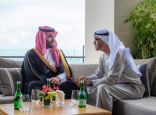“ولي العهد” يلتقي رئيس الإمارات على هامش انعقاد قمة مجموعة العشرين