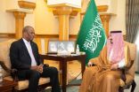 نائب أمير مكة يستقبل سفير جنوب أفريقيا لدى المملكة