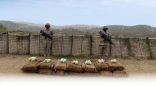 حرس الحدود بجازان يحبط تهريب (220) كيلوجرامًا من نبات القات المخدر