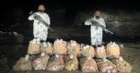 حرس الحدود بعسير يحبط تهريب (350) كيلوجرامًا من نبات القات المخدر
