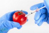 مشاكل صحية غير متوقعة للإفراط في تناول الطماطم.. تعرف عليها