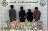حرس الحدود بمنطقة عسير يقبض على (4) مخالفين لنظام أمن الحدود لتهريبهم (270) كيلوجرامًا من نبات القات المخدر