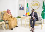 نائب وزير الخارجية يلتقي وزير الخارجية الإثيوبي