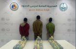 القبض على 3 مخالفين لنظام أمن الحدود بعسير لتهريبهم 45 كيلوجرامًا من نبات القات المخدر