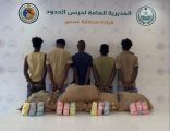 القبض على (5) مخالفين لنظام أمن الحدود بعسير لتهريبهم (100) كيلوجرامٍ من نبات القات المخدر